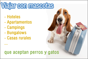 Viajar con mascotas