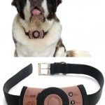 petscell