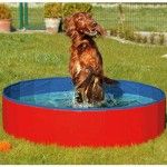 piscina perros