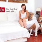Se crea una plataforma para poner en contacto a los dueños de mascotas con cuidadores temporales