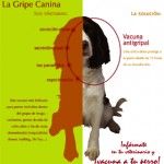 Gripe canina