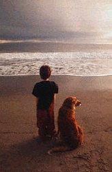 Perro y niño en la playa