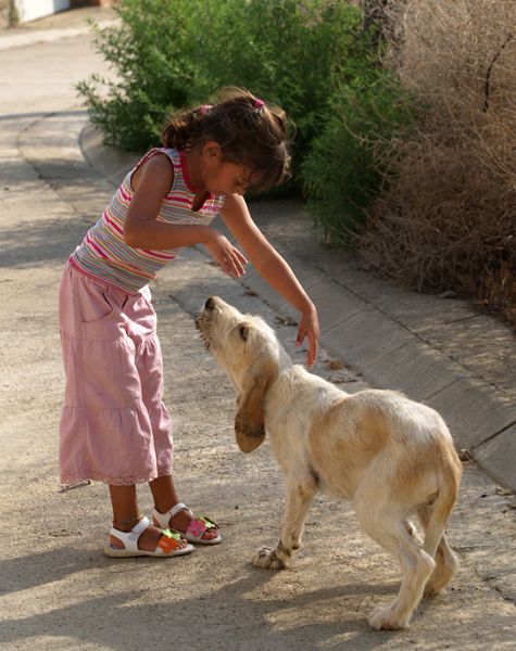 Perro con niña
