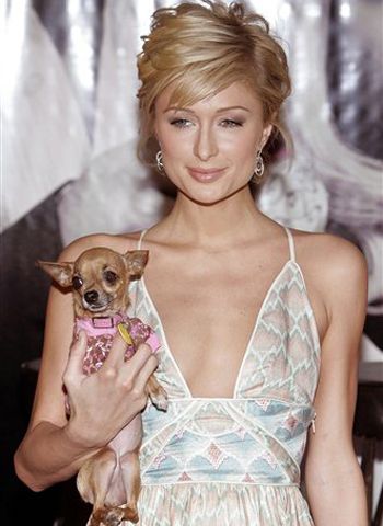 Paris Hilton y su mascota