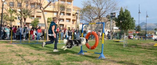 Agility parque canino de Tomares