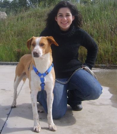 Buster, perro que busca familia