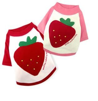 Camiseta para perros con una fresa