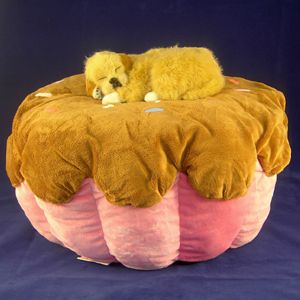 Cama gigante para perros