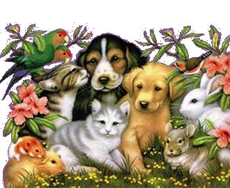 Mandamientos para mascotas