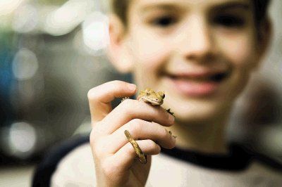 Niño y mascota exótica