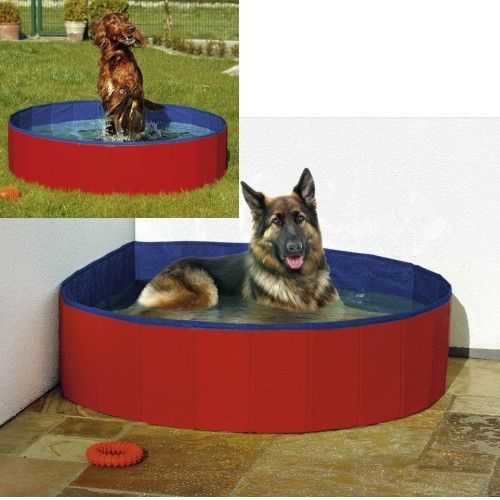 Piscina para perros