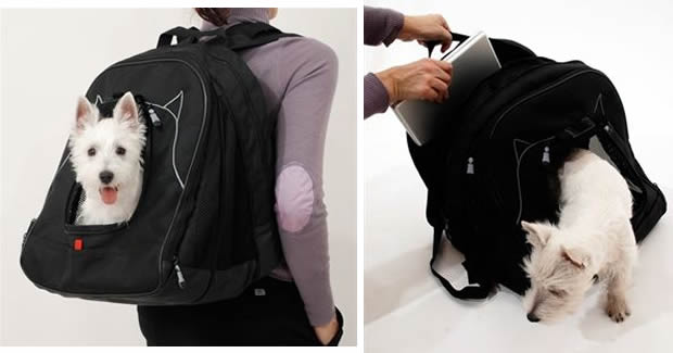 Mochila para perros