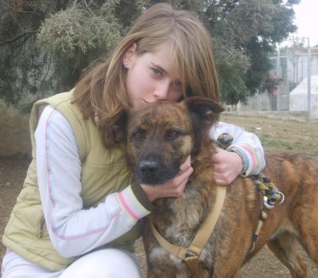 Cuzco, perro en adopción