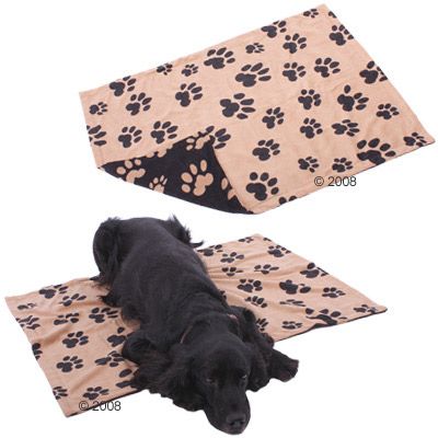 Perro tumbado en alfrombra