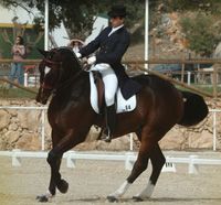 Doma clásica de competición