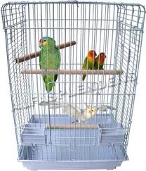 Pájaros en jaula