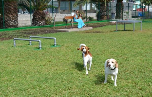 Parque para perros
