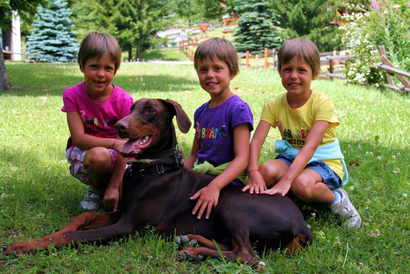 Consejos para padres con mascotas
