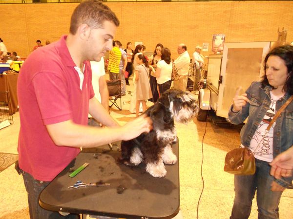 Exposición Canina