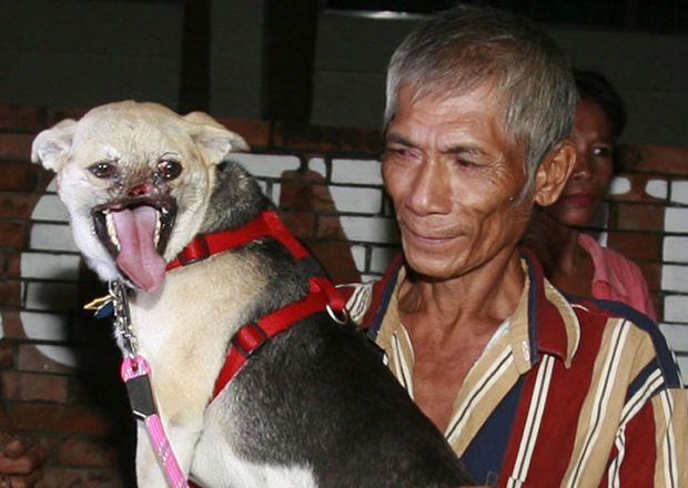 Kabang perra de Filipinas