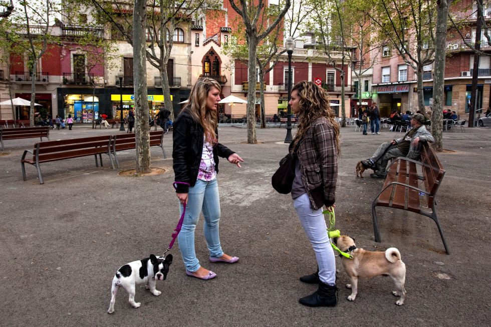 Paseando perros en Barcelona
