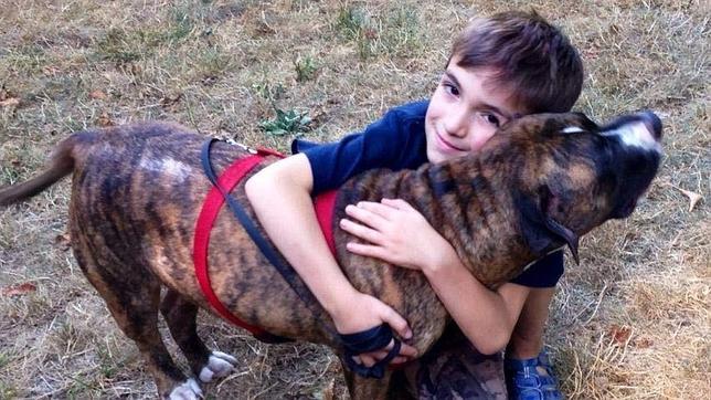Niño con su pitbull