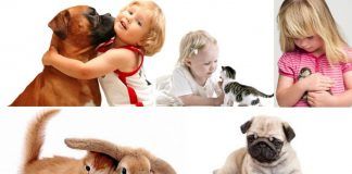 Mascotas y niños
