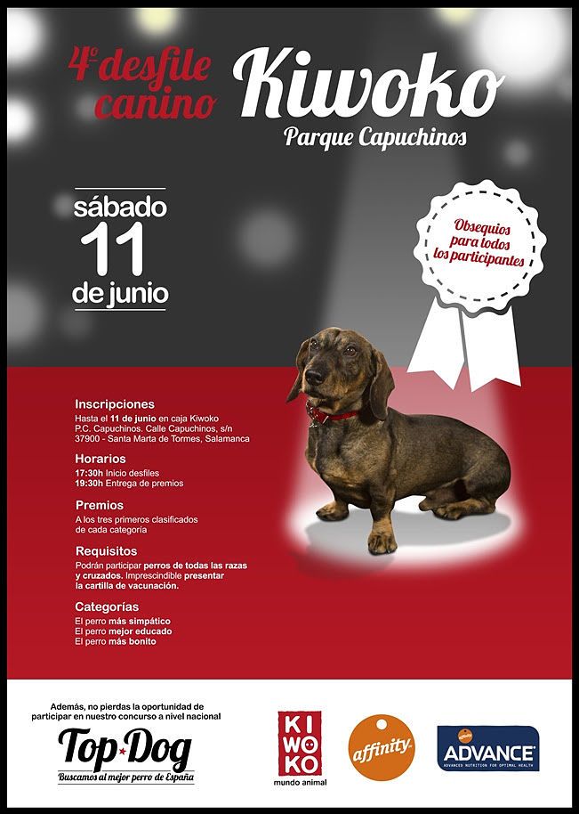 4º desfile canino en Salamanca