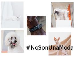 Campaña #NoSonUnaModa de la Fundación Affinity