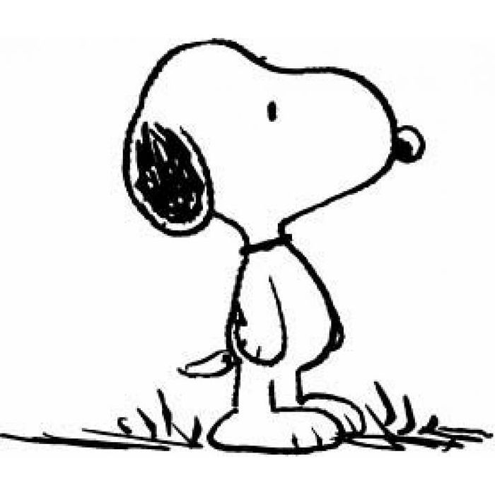 Snoopy es un Beagle